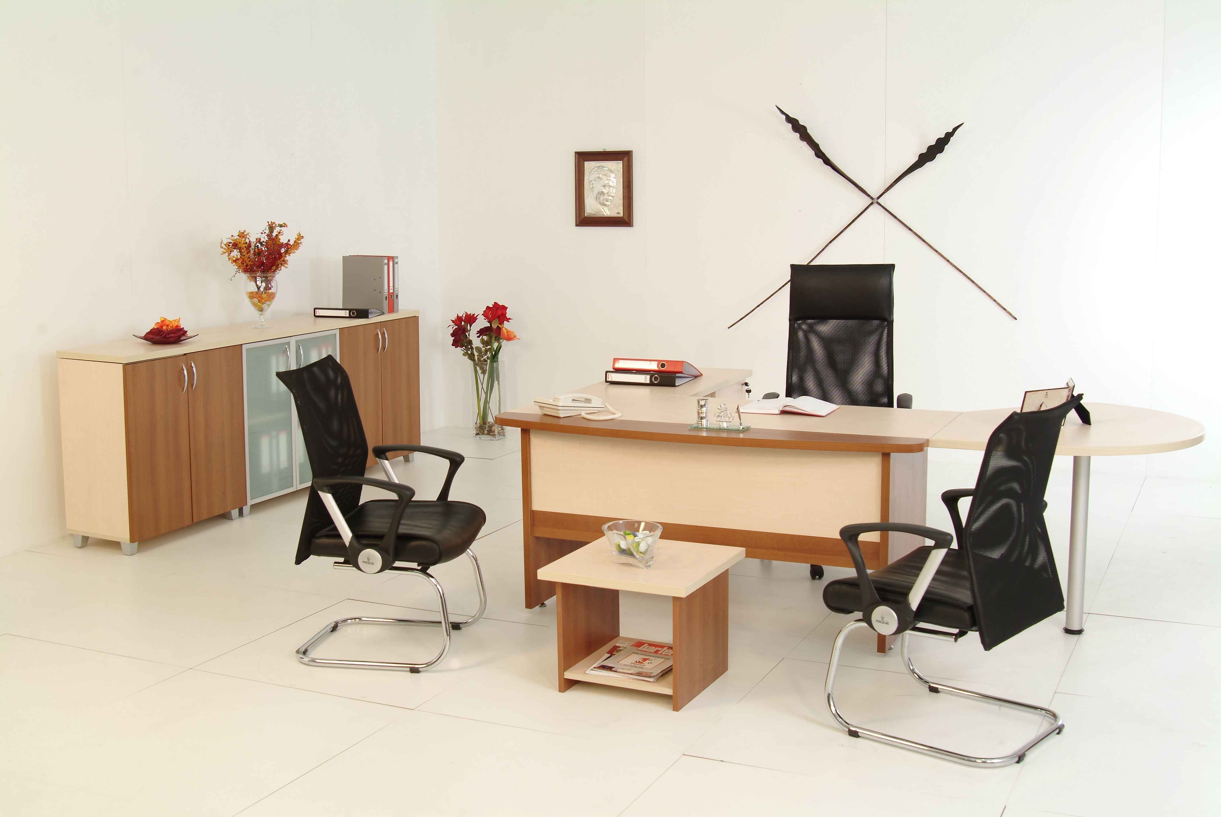 Ofis ve İşyeri Tefrişatı